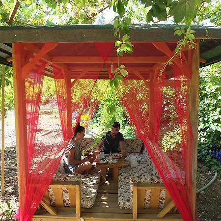 Olympos Butik Alloggio in famiglia Kumluca