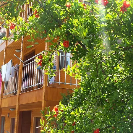 Olympos Butik