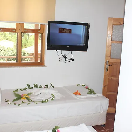 Alloggio in famiglia Olympos Butik